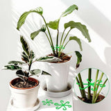 🏆Flash Sale⚡ 50K+ SOLD! Almost Gone-🌿Plant Stem Support Set