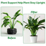 🏆Flash Sale⚡ 50K+ SOLD! Almost Gone-🌿Plant Stem Support Set