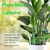🏆Flash Sale⚡ 50K+ SOLD! Almost Gone-🌿Plant Stem Support Set