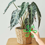🏆Flash Sale⚡ 50K+ SOLD! Almost Gone-🌿Plant Stem Support Set