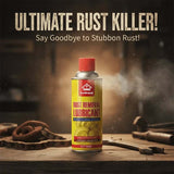Anti-Rust Lubricant Spray & Rust Remover