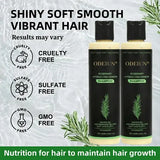 🌱 Organic Rosemary Hair Growth Shampoo