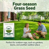 🔥2026 Evergreen Dwarf Grass Seed | For Four Seasons