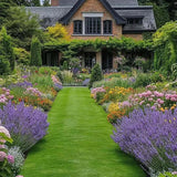 🔥2026 Evergreen Dwarf Grass Seed | For Four Seasons